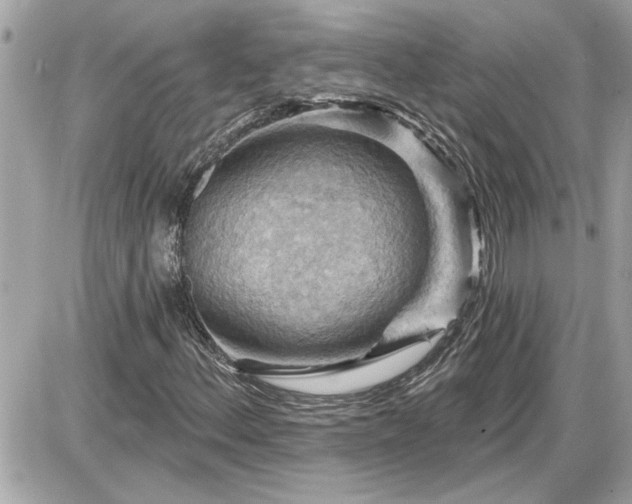 X0000087591156200705041502