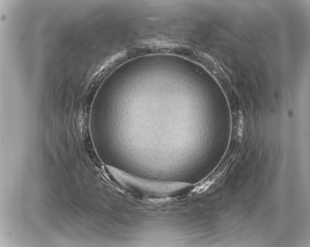 X0000087591157200705041502