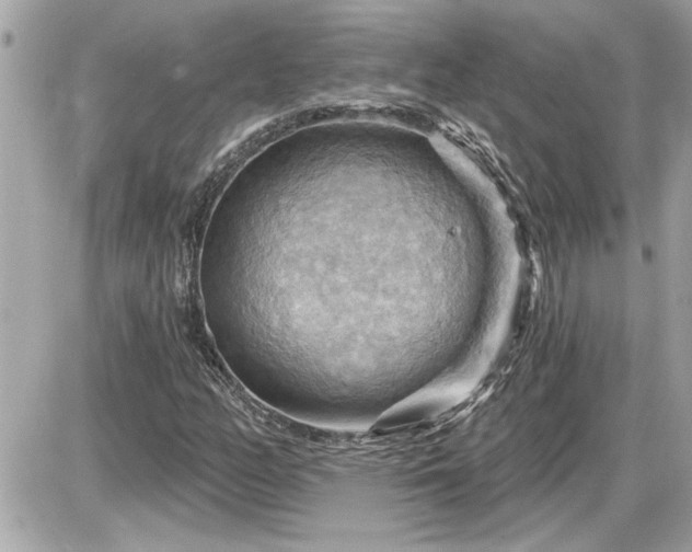 X0000087591158200705041502