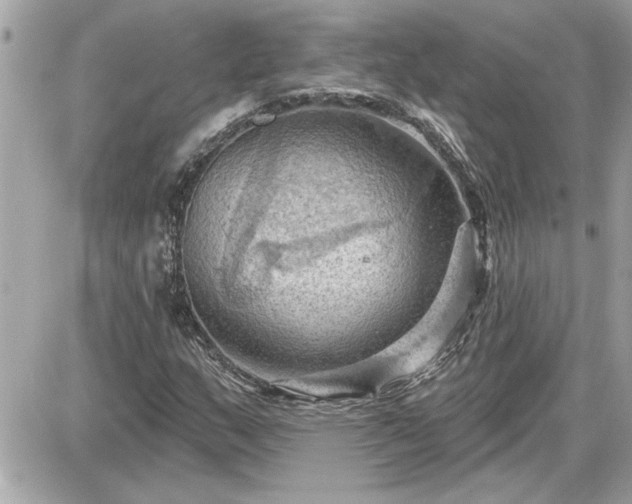 X0000087591159200705041502