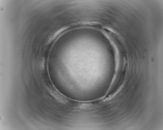 X0000087591161200705041502