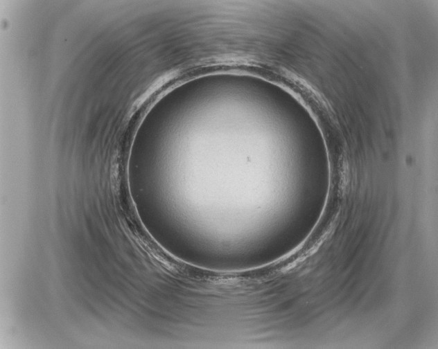 X0000087591162200705041502