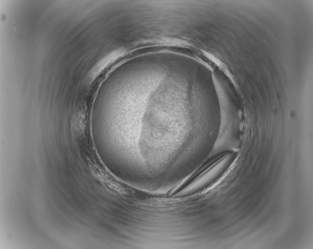 X0000087591163200705041501