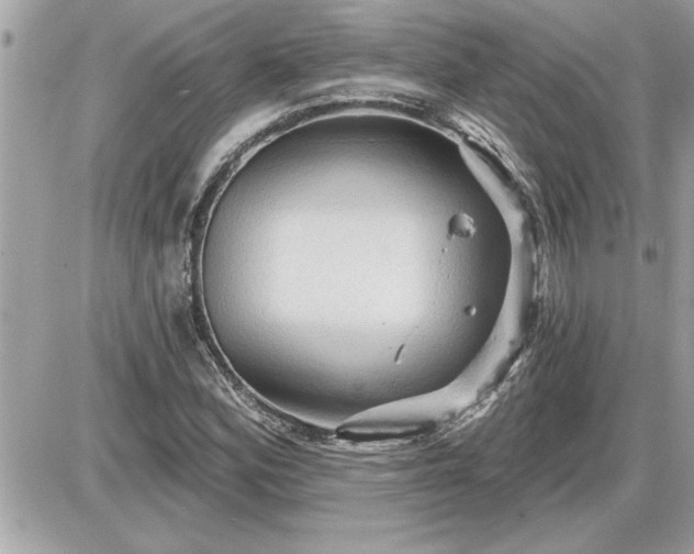 X0000087591164200705041501