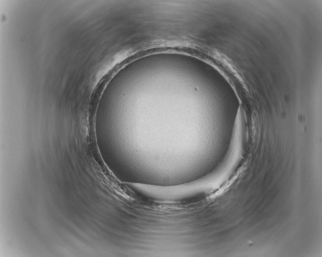 X0000087591165200705041501