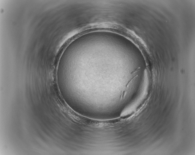 X0000087591166200705041501