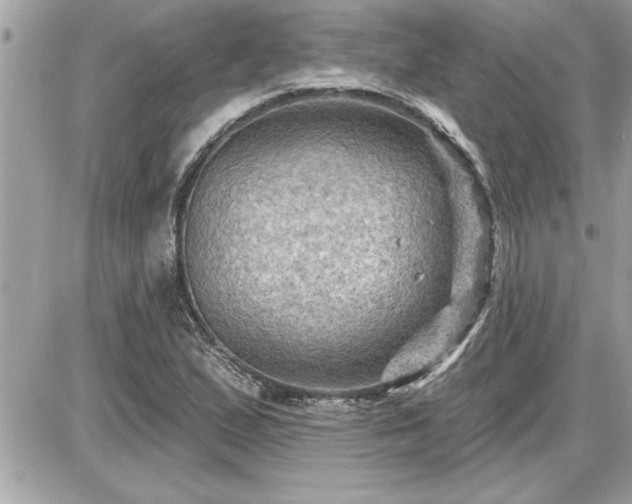 X0000087591167200705041501