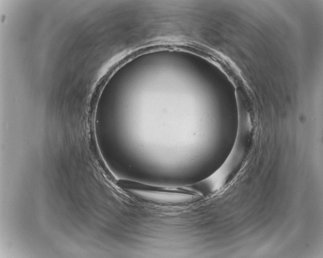 X0000087591168200705041501