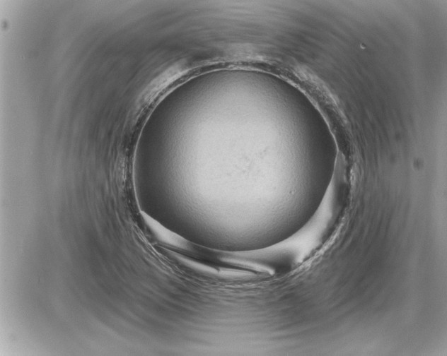 X0000087591169200705041501