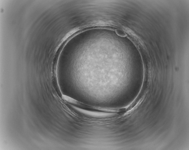 X0000087591170200705041501