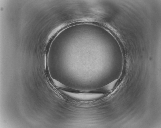 X0000087591171200705041501