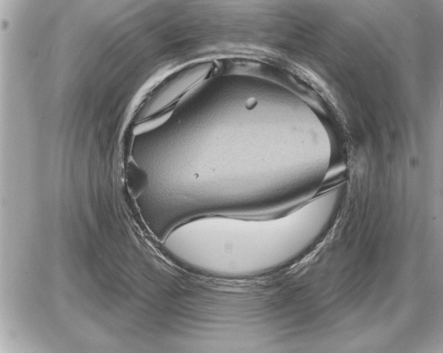 X0000087591172200705041501