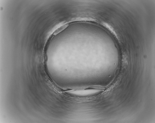 X0000087591173200705041501