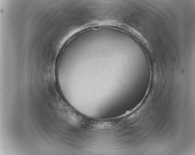 X0000087591174200705041501