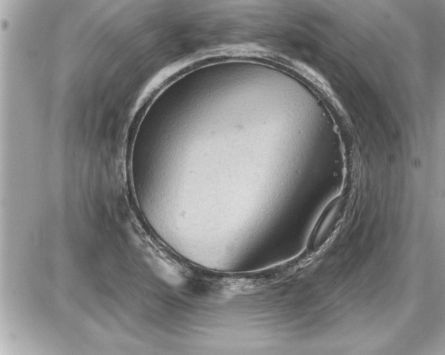 X0000087591176200705041501