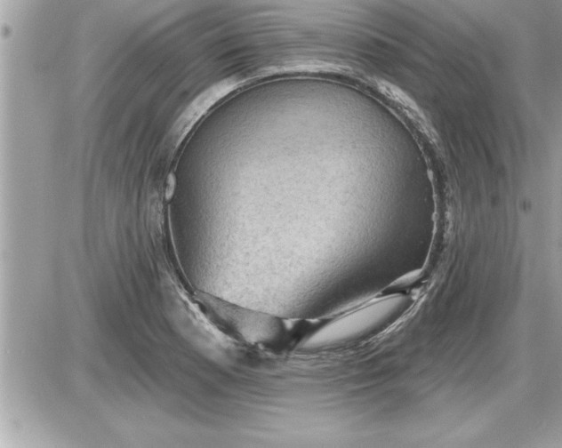 X0000087591177200705041501