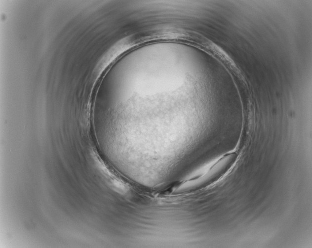 X0000087591178200705041501