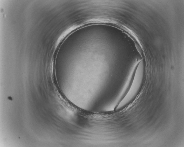 X0000087591179200705041501