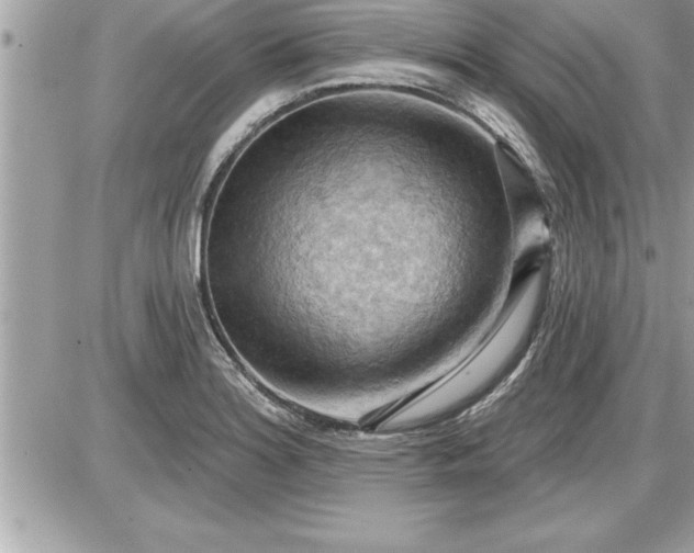 X0000087591180200705041501