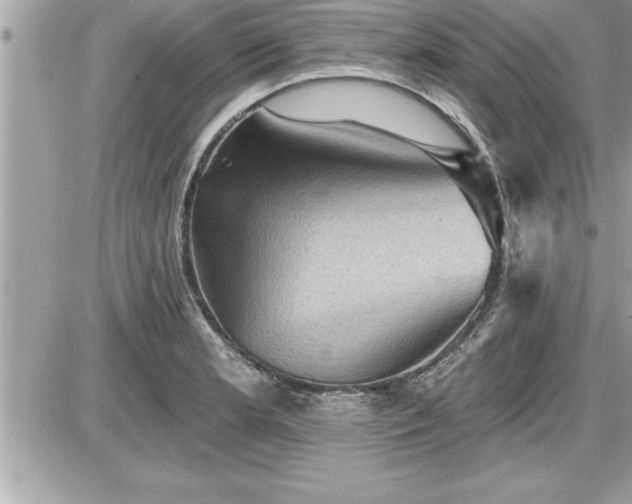 X0000087591181200705041501