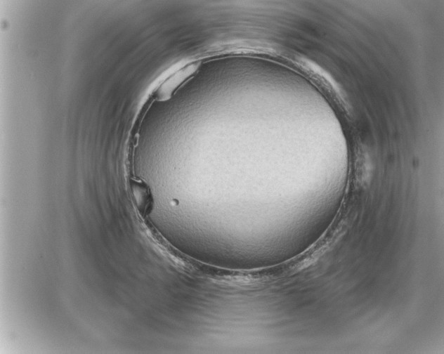 X0000087591182200705041501