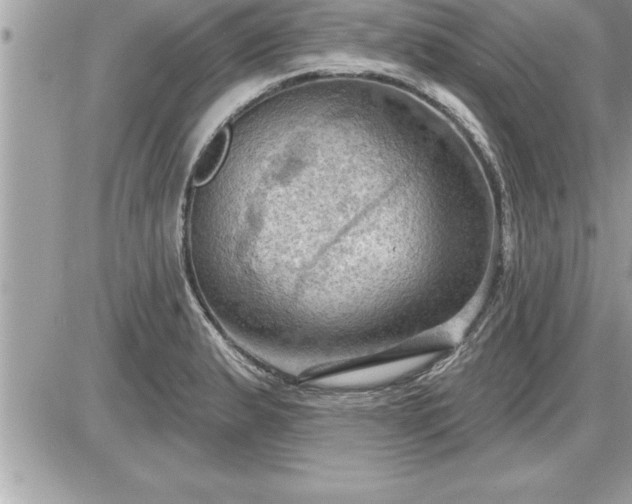 X0000087591183200705041501