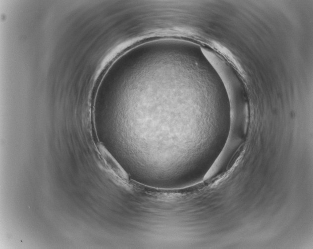 X0000087591184200705041501