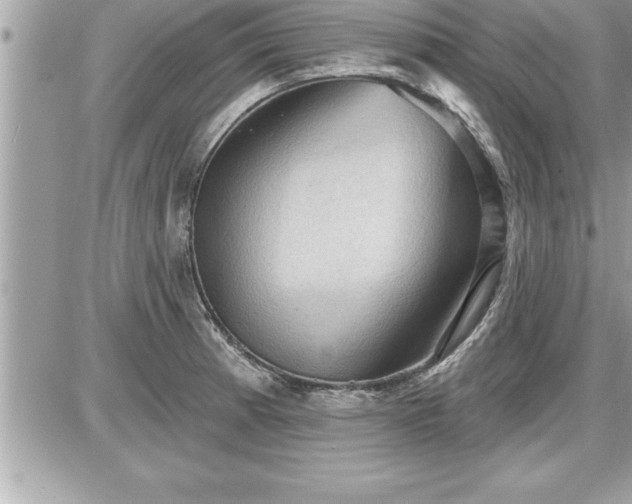 X0000087591185200705041501