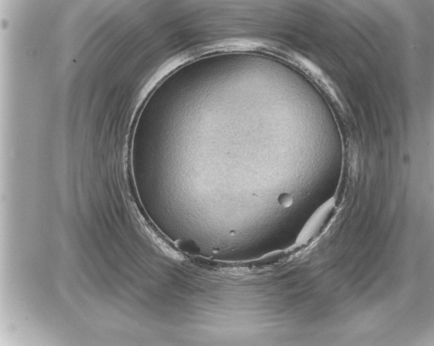 X0000087591186200705041501