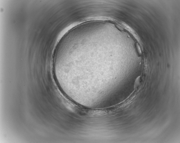 X0000087591187200705041501