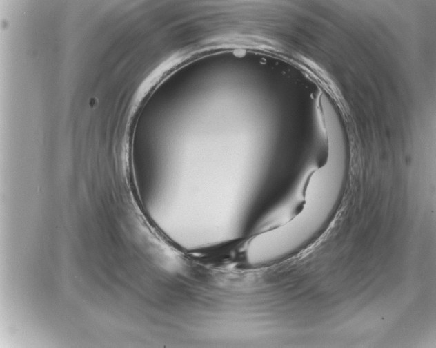 X0000087591188200705041501