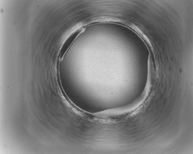 X0000087591189200705041501