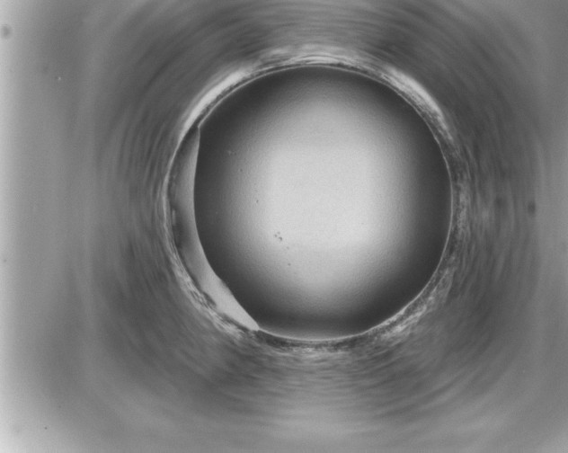 X0000087591190200705041501