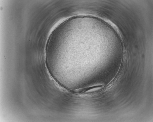 X0000087591191200705041501