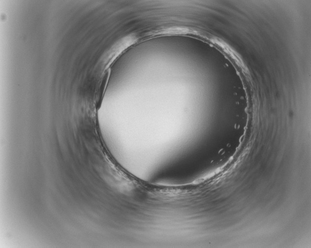 X0000087591193200705041501