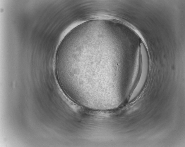 X0000087591195200705041501