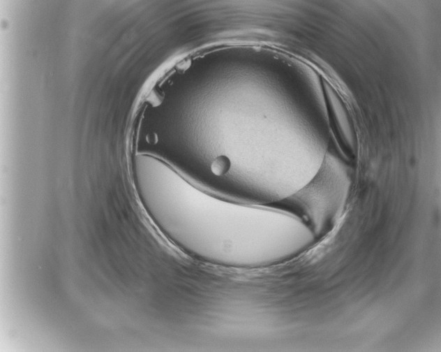 X0000087591196200705041501