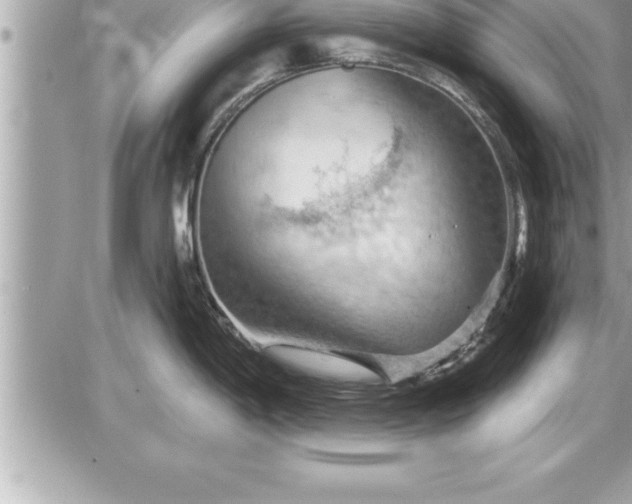 X0000087591198200705041501