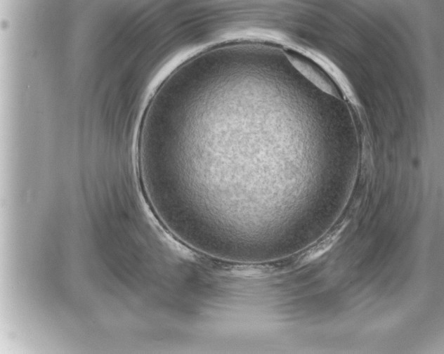 X0000087591199200705041501