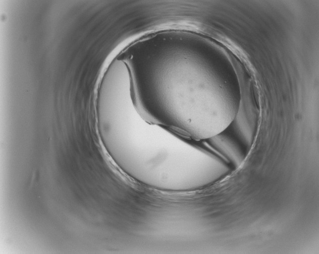 X0000087591200200705041501