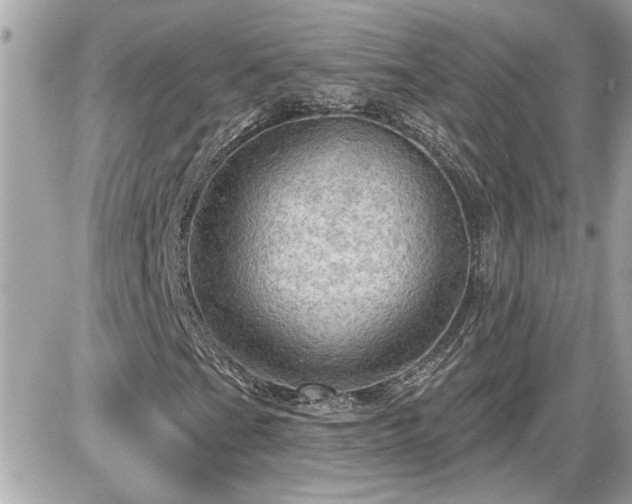 X0000087591201200705041500