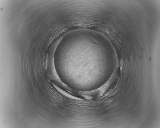 X0000087591202200705041500