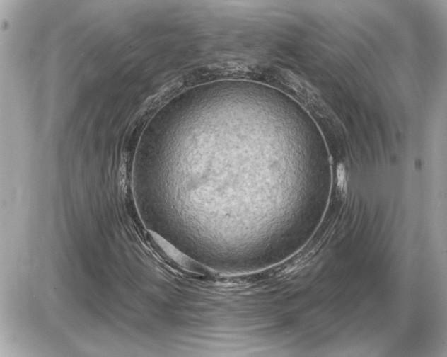 X0000087591203200705041500