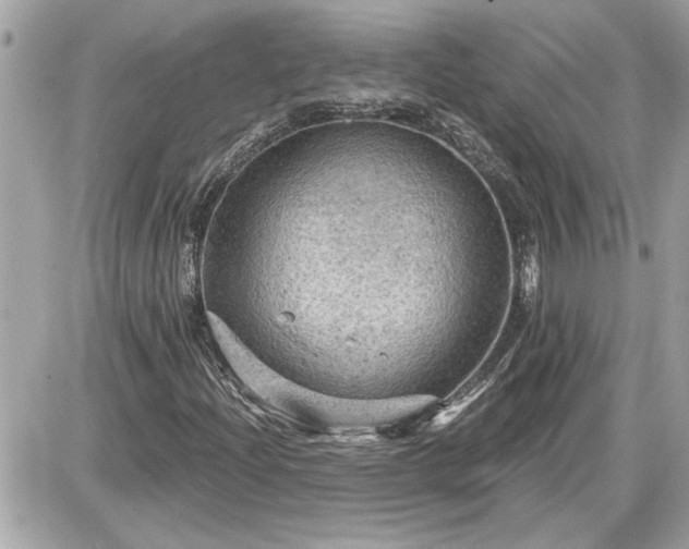 X0000087591204200705041500