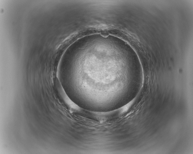 X0000087591205200705041500