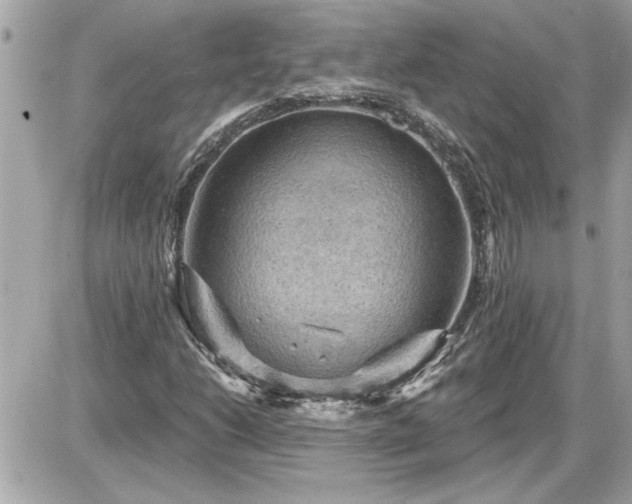 X0000087591206200705041500