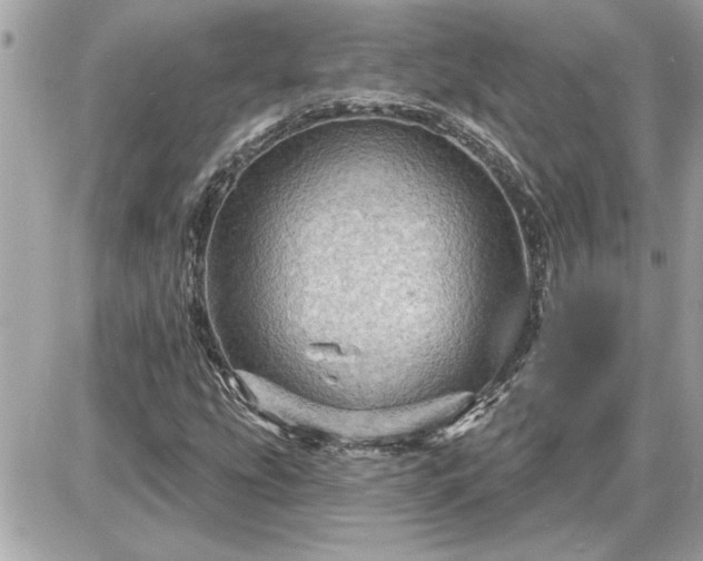 X0000087591207200705041500