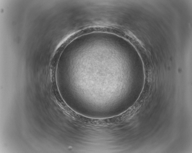 X0000087591208200705041500