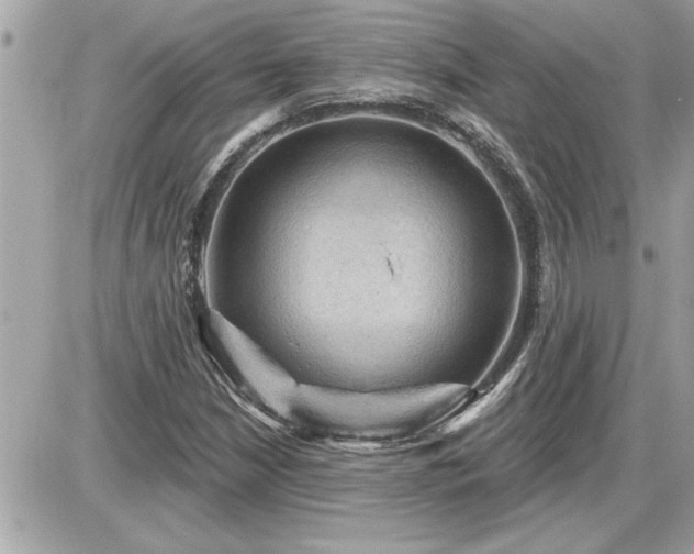 X0000087591210200705041500