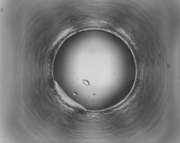 X0000087591211200705041500